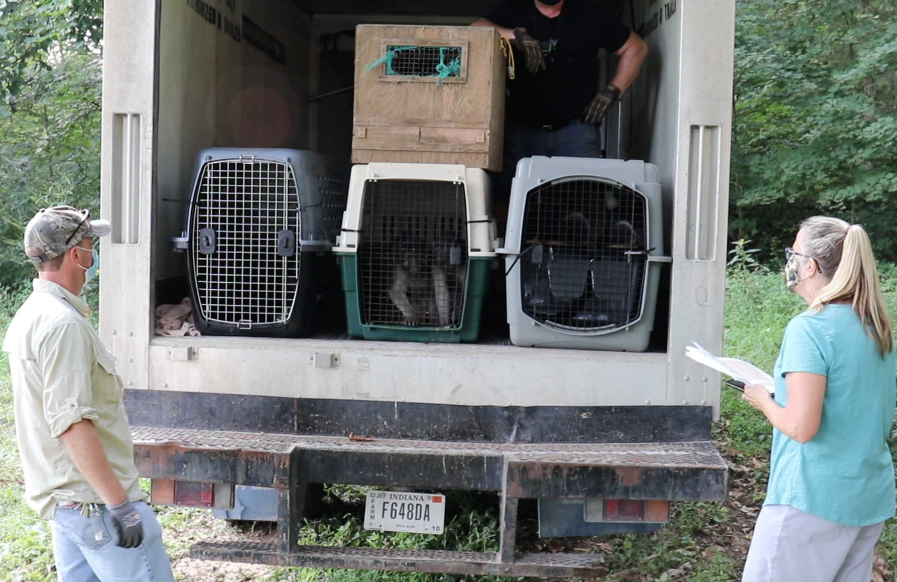 WILDLIFE IN NEED - ANIMALS LEFT IN TRUCK - COURTESY CURTIS HILL OFFICE.png